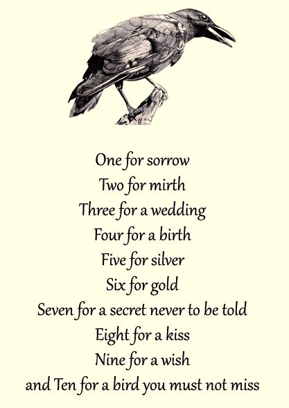 one for sorrow
